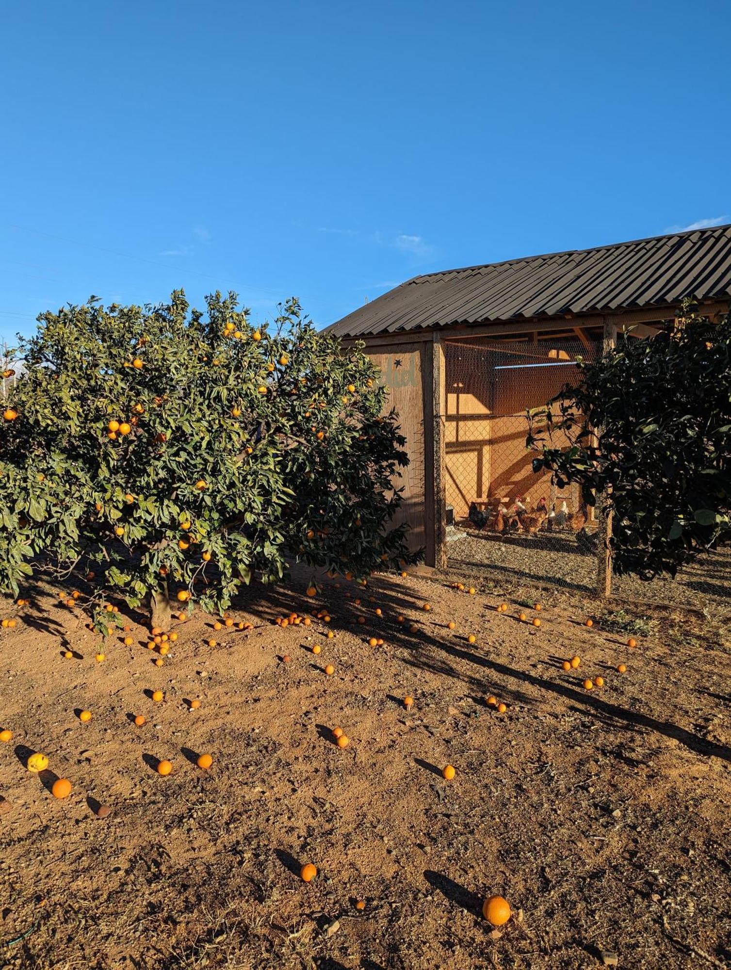 Casa Hostalets - Rural Luxury Riudoms Exterior foto